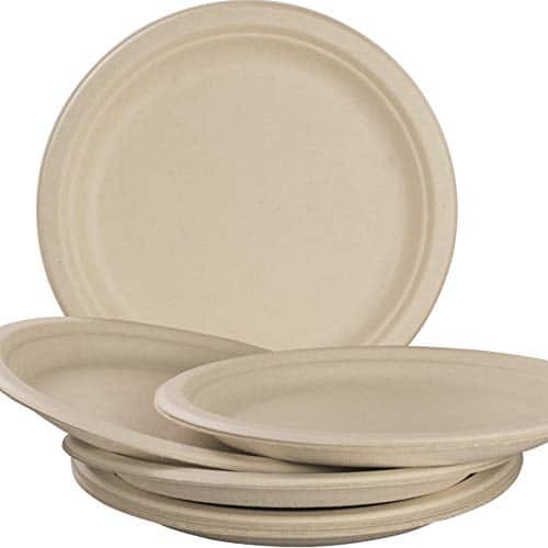 ECO SOUL 100% Compostable 9 Inch Paper Plates 100-Pack Disposable