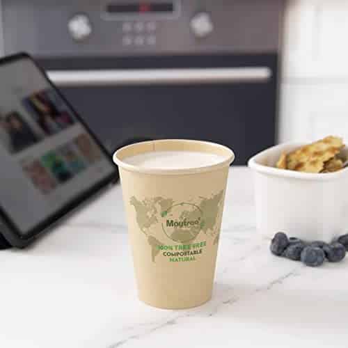 Buy Maytree Disposable Paper Hot Coffee Cups 8 oz, Compostable &  Biodegradable Bamboo Paper Cups for To Go & Ice Coffee, Water, Tea,  Espresso, Chocolate, 250 Pack Now! Only $