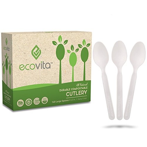 Biodegradable Compostable Bio-based Disposable Spoon 100 Spoons Large 6" Black 