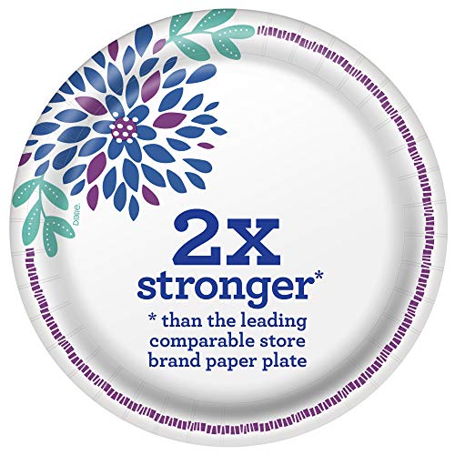 Buy Dixie Everyday Paper Plates, 8 1/2, Lunch or Light Dinner Size Printed  Disposable Plates, 90 Count (Pack of 1) Now! Only $