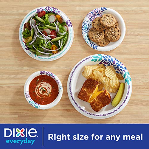 Exclusive Dinner Size Printed Disposable Plates 2 Pack Dixie Everyday Paper Plates,10 1/16 Plate 44 Count
