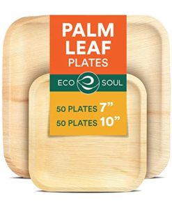 Palm Leaf Specialty Plates