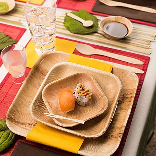 https://compostables.org/wp-content/uploads/2023/03/Natures-Own-Palm-Leaf-Disposable-Plates-Pack-of-25-Stronger-Than-Plastic-and-Paper-Plates-0-3.jpg